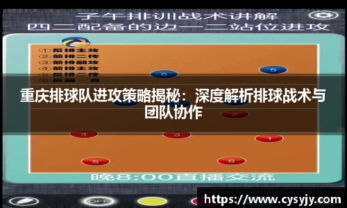 重庆排球队进攻策略揭秘：深度解析排球战术与团队协作